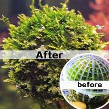 8个装水族箱苔藓球支架 - 漂浮苔藓种植球，（5厘米/1.96英寸）（8厘米/3.14英寸）鱼缸水生植物生长球，水族箱植物装饰，鱼虾养殖水族箱配件 - 造景工具 - 查看 4