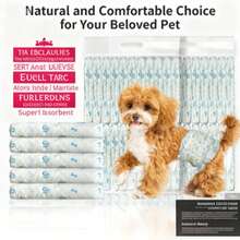 10pcs/Pack XS Disposable Male & Female Dog Diapers & Pee Pads, Super Absorbent Leak-Proof Pet Hygiene Pants For Incontinence, House Training & Travel Use, Suitable For Teddy & Small Breed Dogs, Please Check Size Chart Before Purchase - Blue and White - View 2