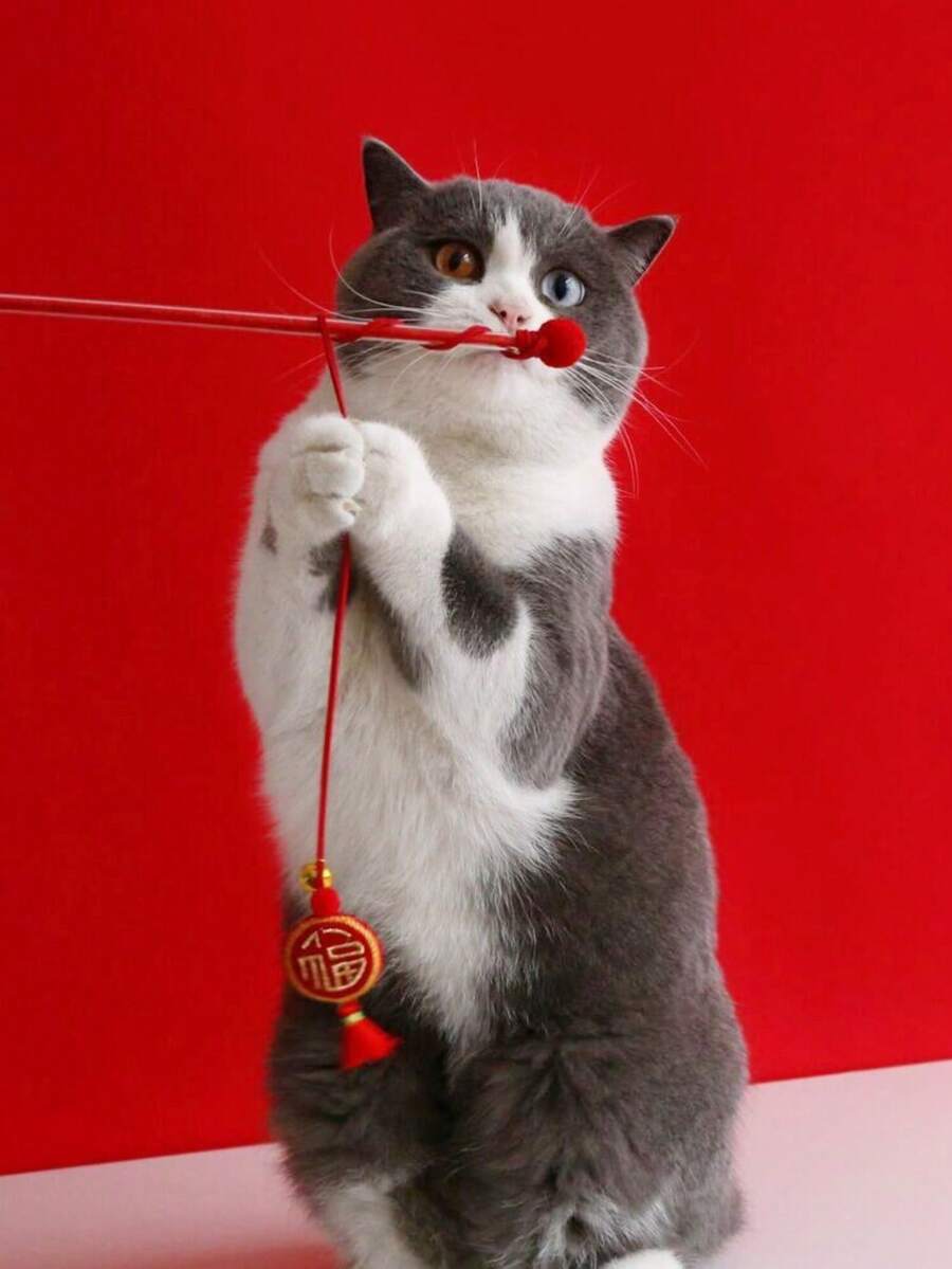 1pc Embroidered Blessing Lantern Cat Teaser Wand Toy With Bell, Interactive Training Self-Play Toy