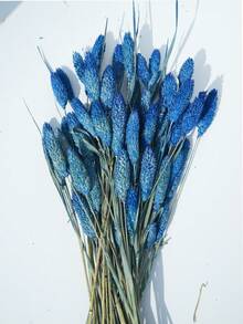 25/50/100 szt. suszonych kwiatów trawy szlachetnej, różne kolory, do dekoracji wnętrz, do wazonów, bukietów DIY, dekoracji tortów