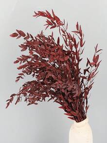 1 Bunch Natural Preserved Eucalyptus Millet Leaf Decor - Elegant Wedding Enhancer & Timeless Home Accent - Dry Flower Arrangement For Photography Props - Naturally Aromatic, Long-Lasting Beauty - Multicolor - View 4