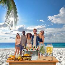 4L Glass Beverage Dispenser 2 Pack Metal Wire Stand Reusable For Home Party Office - 2 X 4L Glass Drinks Dispenser With Taps and Metal Stand - View 5