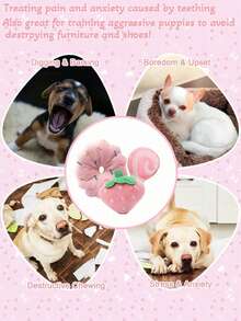 Juego de juguetes para mascotas, juguetes de peluche con chillido para perros y gatos pequeños - con formas de paleta, estrella, rosquilla y fresa, juguetes para masticar interactivos y compañeros para acurrucarse - Multicolor - Ver 5