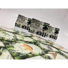 Memoria Didáctica De Dinosaurios,37493622 - Tipo de Enchufe A Japonés (100V) - Ver 1