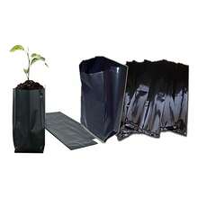 TendenciaBolsas Plástico Cultivo Producción Plantas 1 Kg 18  X 25 CmCalidad premium - 1 - Ver 6