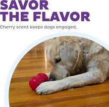 Outward Hound Gummiez Worm Dog Toy &Amp; Treat Stuffer, 6u2033 X 2u2033 Cherry-Scent Interactive Chew For Dogs, Helps Clean Teeth, Promote Healthy Gums &Amp; Mental Enrichment, Reduce Boredom &Amp; Support Dental Health - ColorB - 查看 5