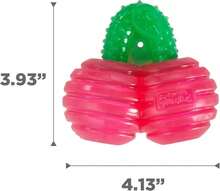 Outward Hound Gummiez Worm Dog Toy &Amp; Treat Stuffer, 6u2033 X 2u2033 Cherry-Scent Interactive Chew For Dogs, Helps Clean Teeth, Promote Healthy Gums &Amp; Mental Enrichment, Reduce Boredom &Amp; Support Dental Health - ColorB - 查看 7