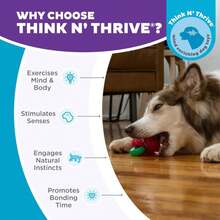 Outward Hound Gummiez Worm Dog Toy &Amp; Treat Stuffer, 6u2033 X 2u2033 Cherry-Scent Interactive Chew For Dogs, Helps Clean Teeth, Promote Healthy Gums &Amp; Mental Enrichment, Reduce Boredom &Amp; Support Dental Health - ColorB - 查看 6