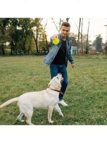 Conjunto Multipeças de Brinquedos de Mastigação para Cães e Gatos Pequenos, Médios e Grandes, Brinquedos Felizes para Cachorros, Brinquedos de Corda e Brinquedos com Apito, Adequados para Interação Cão-Gato, Trituração de Dentes e Limpeza Dental, Filhote, Brinquedo de Cachorro, Brinquedo de Gato, Acessórios para Animais de Estimação - Multicolorido - Visão 8