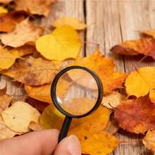 5/15 Inch Plastic Mini Magnifier - Portable Pocket-Sized Educational Item, Suitable For Office, Study, School, Reading Newspapers/Magazines, Outdoor Nature Observation, Mini Magnifier, Learning Aid Tool, Compact Design, Plastic - Multicolor - View 3