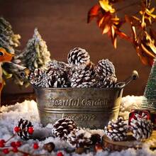 Tendencia60pzs Piñas De Pino Navidad Navideñas Árbol Adorno Blanco Blanco Marrón Piñas De PinoCalidad premium - Blanco Marrón - Ver 12