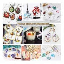 TendenciaPaquete Flores Secas Naturales Prensadas Para ManualidadesCalidad premium - 132 piezas - Ver 11