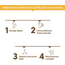TendenciaSustrato Cactus Y Suculentas Orgánico 2.5l Ekologi TepojalCalidad premium - 1 - Ver 8