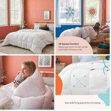 Leoon Linenspa - Edredn Acolchado de Plumn Alternativo - Queen - Microfibra Suave e Hipoalergnica - salo Solo o con Funda - Reversible - Toda Estacin -  con Gris Obscuro - queen+negro / gris obscuro - Ver 1