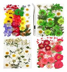 TendenciaPaquete Flores Secas Naturales Prensadas Para ManualidadesCalidad premium - 132 piezas - Ver 2