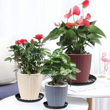 TendenciaJuego De 6 Bandejas Para Macetas Con Borde, P/ Maceta 30cm NegroCalidad premium - 1 - Ver 8