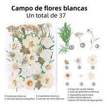 TendenciaPaquete Flores Secas Naturales Prensadas Para ManualidadesCalidad premium - 132 piezas - Ver 5