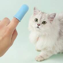 Random Style Soft Silicone Pet Finger Toothbrush, Suitable For Cleaning Teeth Of Cats And Dogs - Blue - View 4