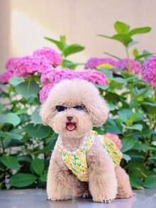 Small Pet Sunglasses, Cool Triangular Glasses For Cats & Dogs, Pet Fashion Accessories - Multicolor - View 5