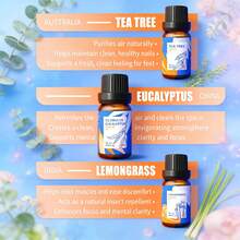 HIQILI 纯精油礼盒套装，6瓶*10毫升和16瓶*10毫升，适用于DIY香水、香薰机、加湿器、按摩、护肤、护发、香皂、香薰蜡烛等，适合作为情人节、新年、万圣节、圣诞节、生日礼物送给家人和朋友。 - 混合香型 - 查看 5