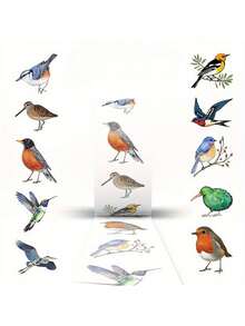 500张/卷 鸟类贴纸 卷装鸟类贴纸 动物贴纸 鸟类玩具 鸟类礼物 卡通贴纸 可爱贴纸 美观贴纸 乙烯基贴纸 适用于水瓶、电脑、笔记本电脑、手机、行李箱、笔记本、冰箱