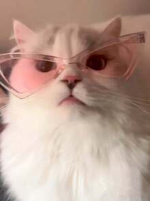 Small Pet Sunglasses, Cool Triangular Glasses For Cats & Dogs, Pet Fashion Accessories - Multicolor - View 3