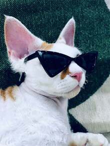 Small Pet Sunglasses, Cool Triangular Glasses For Cats & Dogs, Pet Fashion Accessories - Multicolor - View 4