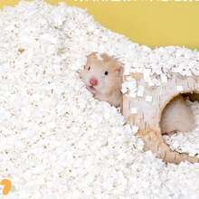 Pet Reptile Terrarium Bedding - Tofu Substrate, Cotton Pad, Odor Eliminating Mat