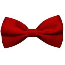 Kids Collar & Accessories Set - Red - View 3