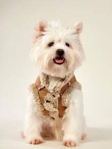 Cotton Warm Pet Jacket (Leash Not Included), Suitable For Extra Small And Medium Dogs & Cats, Outdoor Warm For Autumn/Winter, Bulldog, Dog Clothes, Dog Supplies, Cat Supplies, Cat Clothes, Happy Dog, Puppy Clothes, Female Dog Clothes, Male Dog Clothes, Dog Accessories, Pets - Multicolor - View 8