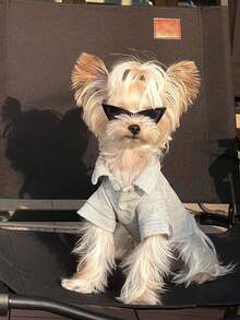 Small Pet Sunglasses, Cool Triangular Glasses For Cats & Dogs, Pet Fashion Accessories - Multicolor - View 6