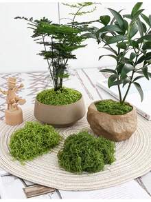 1pc 20g/50g/100g/200g/500g Artificial Moss, Suitable For Home Decor, Fake Moss Micro Landscape Arrangement, Lawn, Potted Plants - Green - View 7