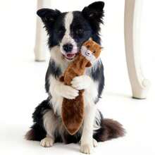 1pc Pet Plush Sound Toy, Raccoon & Squirrel Shaped Chew Toy, Suitable For Cats & Dogs, Self-Entertainment & Training, Durable & Chew-Resistant - Multicolor - View 1