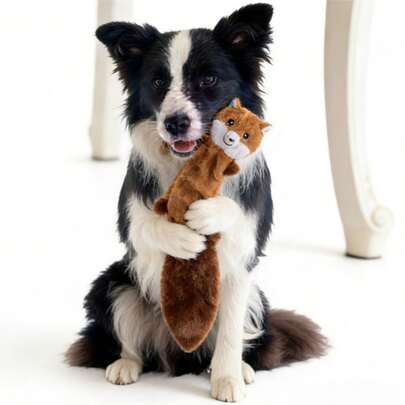 1pc Pet Plush Sound Toy, Raccoon & Squirrel Shaped Chew Toy, Suitable For Cats & Dogs, Self-Entertainment & Training, Durable & Chew-Resistant