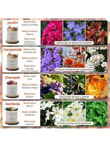 Candles - Bellflower - View 4