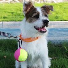 Silicone Dog Toy Ball Holder, Pet Tennis Ball Sleeve, Portable Outdoor Pet Toy Protective Cover