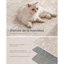 Carpet - 153L X 91W cm - View 3