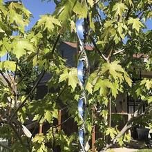 2Set (12pcs/Set)Outdoor Bird Repellent Wind Spiral Bird Scare Rod Reflective Rods Deterrent NEW - Silver - View 5