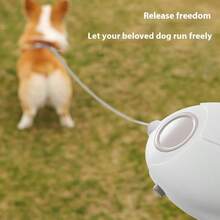 1pc Beetle Retractable Dog Leash, Flexible & Non-Stuck, Explosion-Proof, Compact & Portable, With LED Light For Night Use, Type-C Charging Port, For Small Dogs - Multicolor - View 6