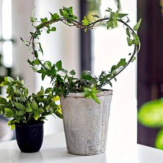 1/2 piezas Soporte de enrejado redondo de metal para plantas trepadoras de interior/exterior, soporte para flores en maceta