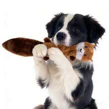 1pc Pet Plush Sound Toy, Raccoon & Squirrel Shaped Chew Toy, Suitable For Cats & Dogs, Self-Entertainment & Training, Durable & Chew-Resistant - Multicolor - View 10