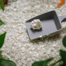 Pet Reptile Terrarium Bedding - Tofu Substrate, Cotton Pad, Odor Eliminating Mat