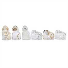 1/6个透明猫毛胶囊吊坠，适合爱猫人士，可用作包包挂饰或房间装饰，宠物毛发纪念钥匙扣 - 彩色 - 查看 10