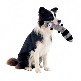 1pc Pet Plush Sound Toy, Raccoon & Squirrel Shaped Chew Toy, Suitable For Cats & Dogs, Self-Entertainment & Training, Durable & Chew-Resistant