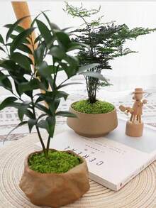 1pc 20g/50g/100g/200g/500g Artificial Moss, Suitable For Home Decor, Fake Moss Micro Landscape Arrangement, Lawn, Potted Plants - Green - View 6