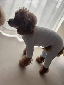 Multi-Color Solid Fleece Dog Clothes, 4-Leg Jumpsuit, Comfortable Casual Bodysuit Suitable For Small Dogs Like Teddy, Pomeranian, Yorkshire Terrier, Maltese, All Seasons - Pink - View 2