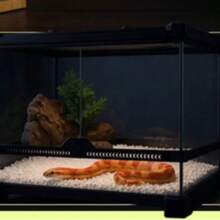 Pet Reptile Terrarium Bedding - Tofu Substrate, Cotton Pad, Odor Eliminating Mat