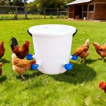 Automatic Poultry Waterer Kit - Large Blue Chicken Water Cup For Chickens, Ducks, Geese, Turkeys & Rabbits - 5 Pieces (Bucket Not Included)