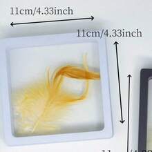 1pc Multi-Color Acrylic Parrot Feather Storage Box, Waterproof Sealed Container For Pet Bird Feather, Specimen, And Memorabilia - Multicolor - View 8