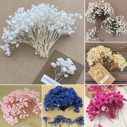 25/50/100/300pcs Ivory White Mini Gypsophila And Other Dried Flowers - For Resin Mold Art And Crafts, Suitable For Hair Accessories, Wedding Wreaths, Tabletop Decor, Home Decoration